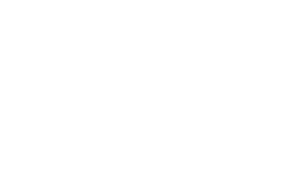 SB projects